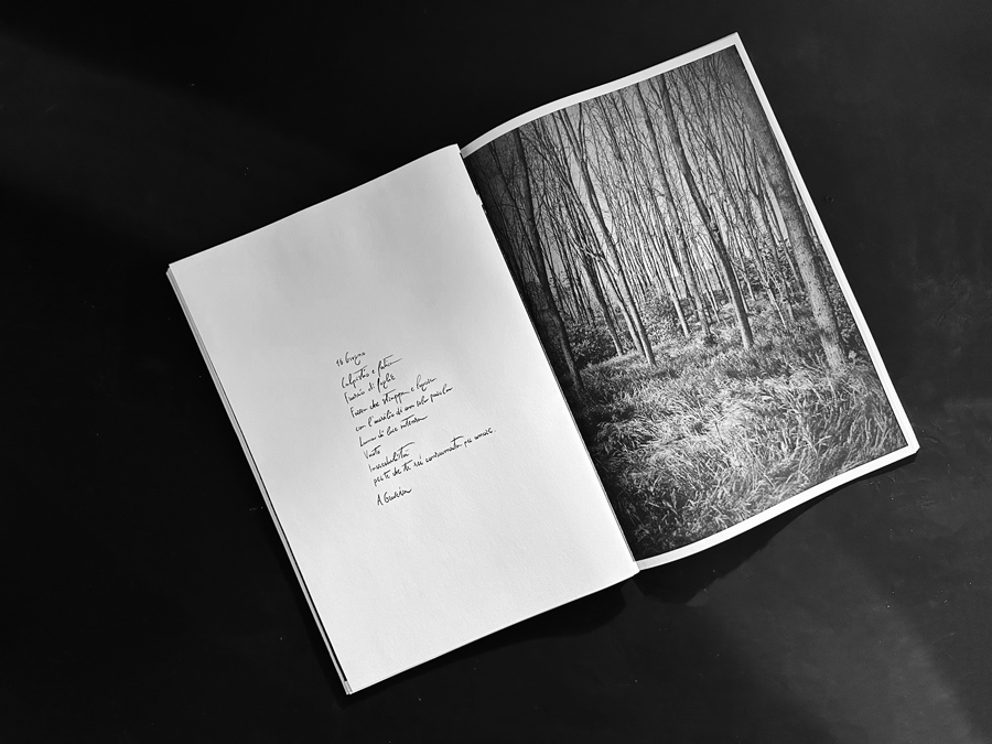 Perché non ci siamo mai abbracciati — immagine 6 di 7
