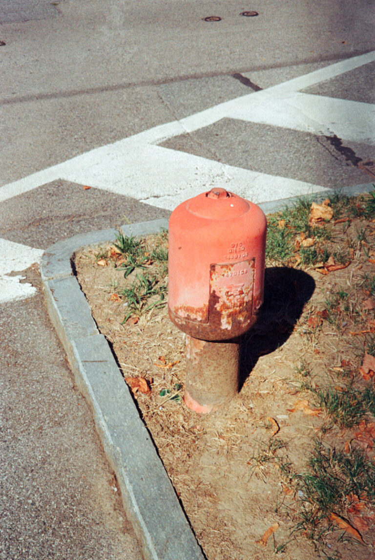 Fotografia su pellicola cinematografica 35mm Sent Cine-D 250, esempio di resa a colori